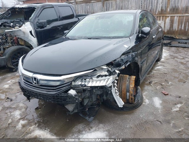 1HGCR2F06HA803943 Honda Accord Touring