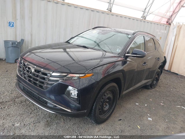 Продажа на аукционе авто 2022 Hyundai Tucson Luxury Hybrid Awd, vin: KM8JCCA14NU044325, номер лота: 12591259