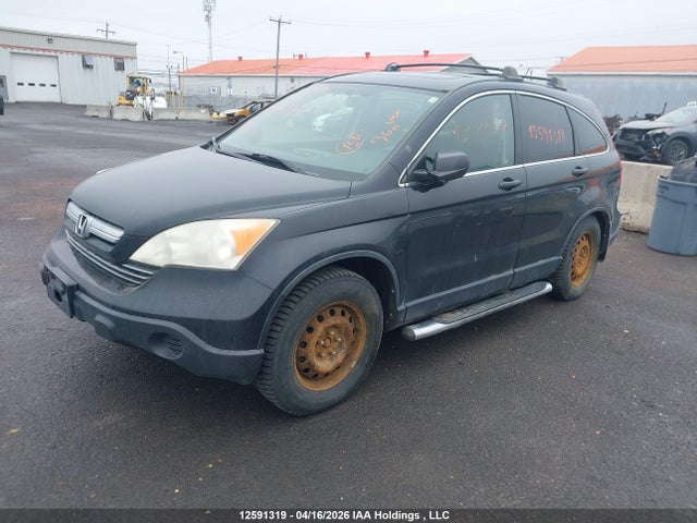 12591319 :رقم المزاد ، JHLRE485X8C008135 vin ، 2008 Honda Cr-v Ex مزاد بيع