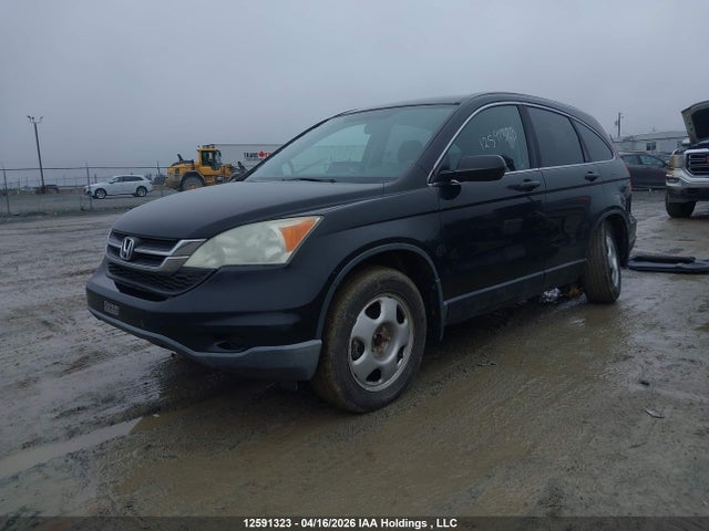 Aukcja sprzedaży 2011 Honda Cr-v Lx, vin: 5J6RE4H39BL803321, numer aukcji: 12591323
