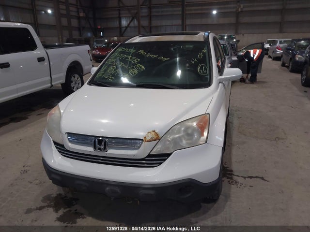 Продаж на аукціоні авто 2008 Honda Cr-v Exl, vin: 5J6RE48728L819324, номер лоту: 12591328
