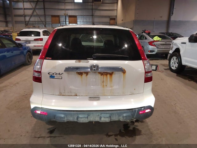 Продаж на аукціоні авто 2008 Honda Cr-v Exl, vin: 5J6RE48728L819324, номер лоту: 12591328