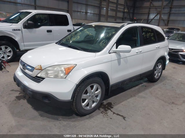 Продаж на аукціоні авто 2008 Honda Cr-v Exl, vin: 5J6RE48728L819324, номер лоту: 12591328