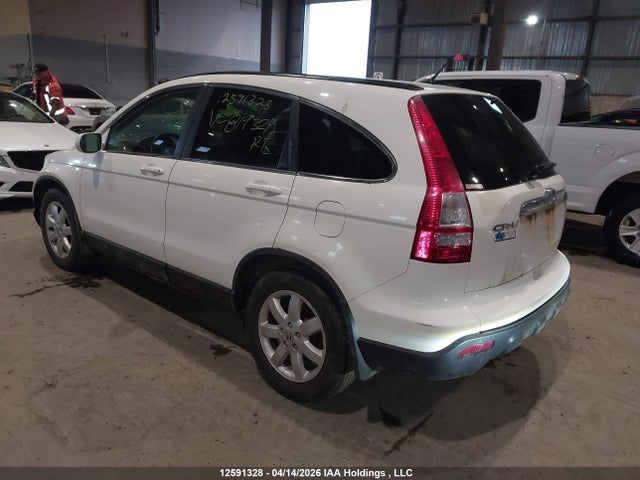 Продаж на аукціоні авто 2008 Honda Cr-v Exl, vin: 5J6RE48728L819324, номер лоту: 12591328