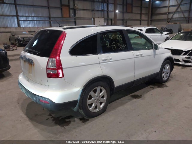 Продаж на аукціоні авто 2008 Honda Cr-v Exl, vin: 5J6RE48728L819324, номер лоту: 12591328