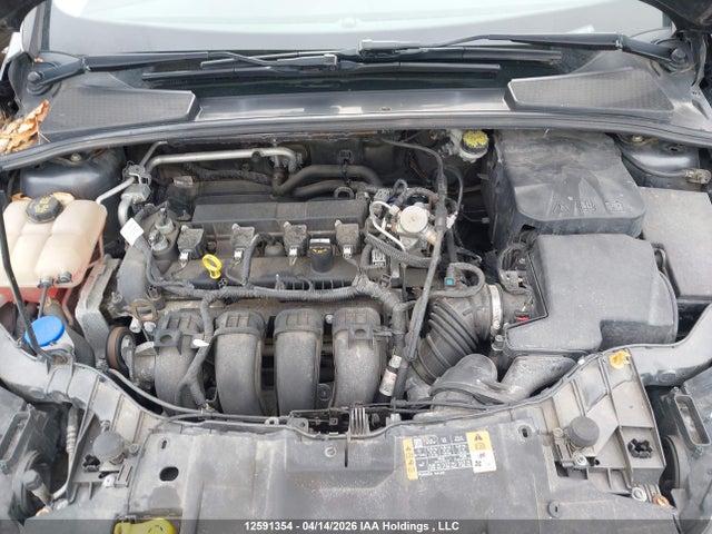1FADP3K20GL396216 Ford Focus