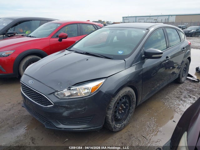 1FADP3K20GL396216 Ford Focus