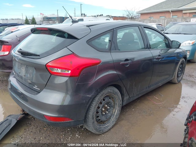 1FADP3K20GL396216 Ford Focus