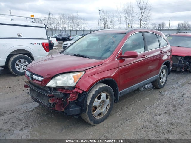 Aukcja sprzedaży 2007 Honda Cr-v, vin: 5J6RE48777L816286, numer aukcji: 12564816