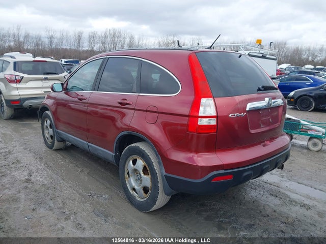Aukcja sprzedaży 2007 Honda Cr-v, vin: 5J6RE48777L816286, numer aukcji: 12564816