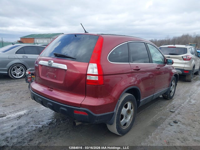 Aukcja sprzedaży 2007 Honda Cr-v, vin: 5J6RE48777L816286, numer aukcji: 12564816