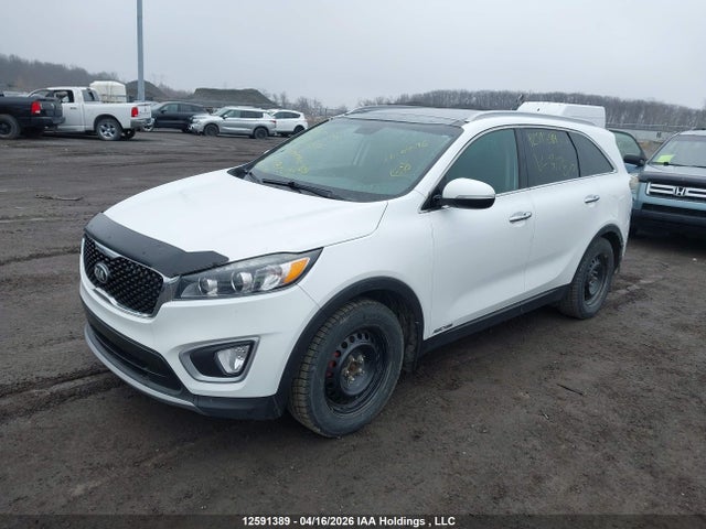 5XYPHDA58HG317877 KIA SORENTO EX