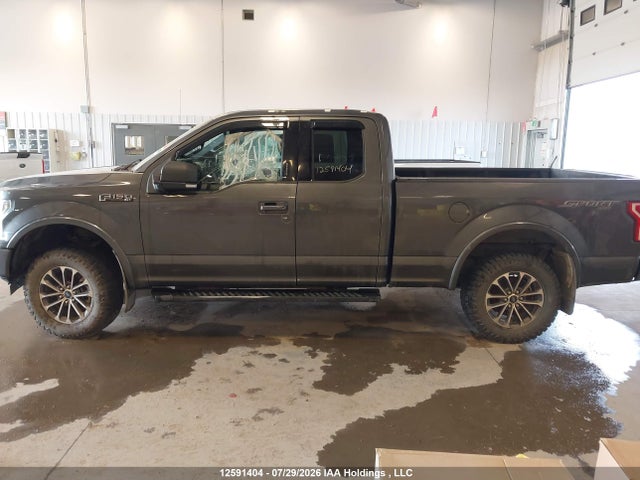 Ford F-150 Xlt 2020 1FTEX1EP7LFA88009 Image 13
