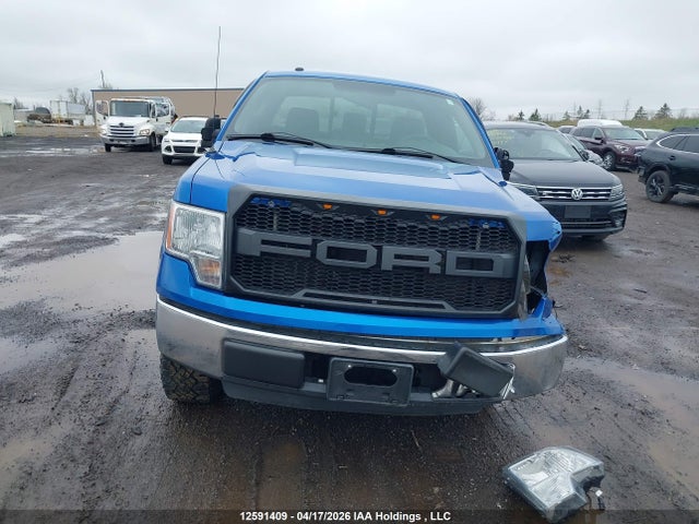 Продажа на аукционе авто 2011 Ford F-150 Xlt, vin: 1FTMF1CF2BFB36135, номер лота: 12591409