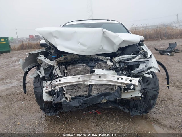 5FNYF6H03LB505612 Honda Pilot Elite