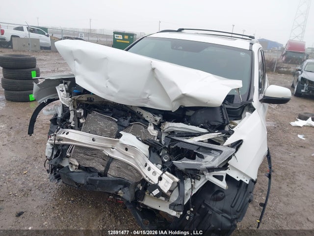 5FNYF6H03LB505612 Honda Pilot Elite