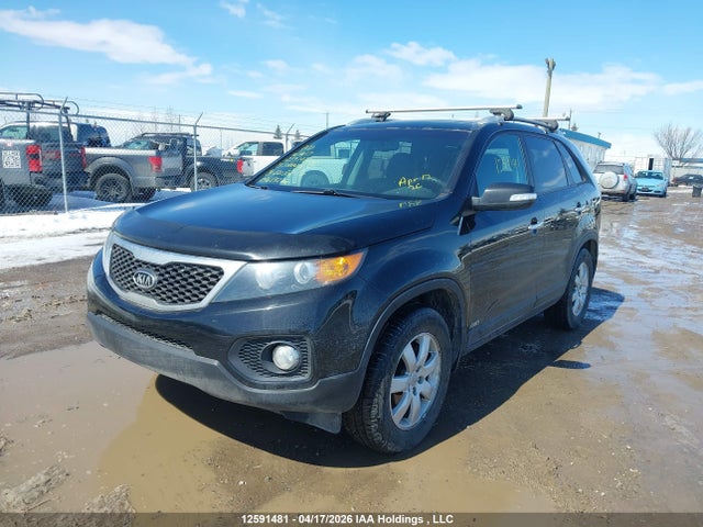 Продажа на аукционе авто 2013 Kia Sorento Lx V6, vin: 5XYKTDA24DG420304, номер лота: 12591481