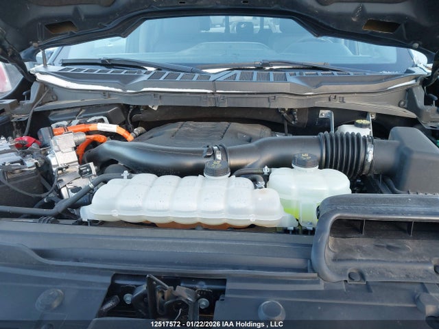 1FTFW1ED6PFA12784 Ford F-150 Limited