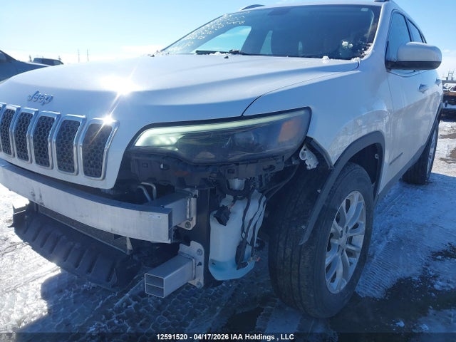 12591520 :رقم المزاد ، 1C4PJMCX2KD141949 vin ، 2019 Jeep Cherokee North مزاد بيع
