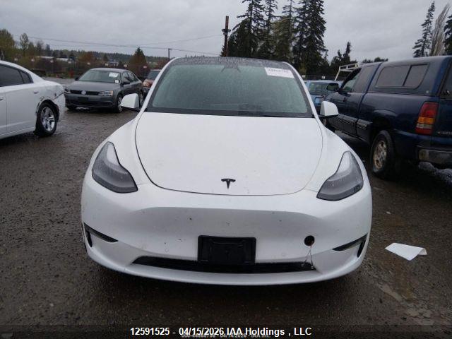 Aukcja sprzedaży 2022 Tesla Model Y, vin: 7SAYGDEE3NF564456, numer aukcji: 12591525
