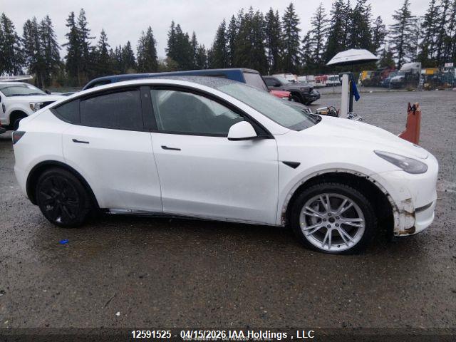 Aukcja sprzedaży 2022 Tesla Model Y, vin: 7SAYGDEE3NF564456, numer aukcji: 12591525