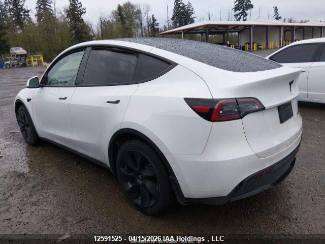 Aukcja sprzedaży 2022 Tesla Model Y, vin: 7SAYGDEE3NF564456, numer aukcji: 12591525
