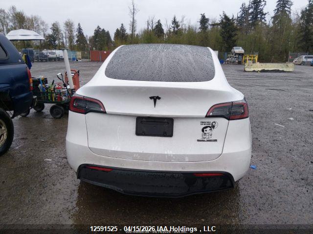 Aukcja sprzedaży 2022 Tesla Model Y, vin: 7SAYGDEE3NF564456, numer aukcji: 12591525
