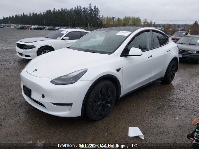 Aukcja sprzedaży 2022 Tesla Model Y, vin: 7SAYGDEE3NF564456, numer aukcji: 12591525