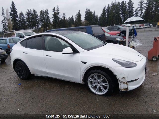 Aukcja sprzedaży 2022 Tesla Model Y, vin: 7SAYGDEE3NF564456, numer aukcji: 12591525