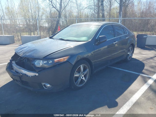Auction sale of the 2012 Acura Tsx Premium, vin: JH4CU2F52CC800896, lot number: 12591541