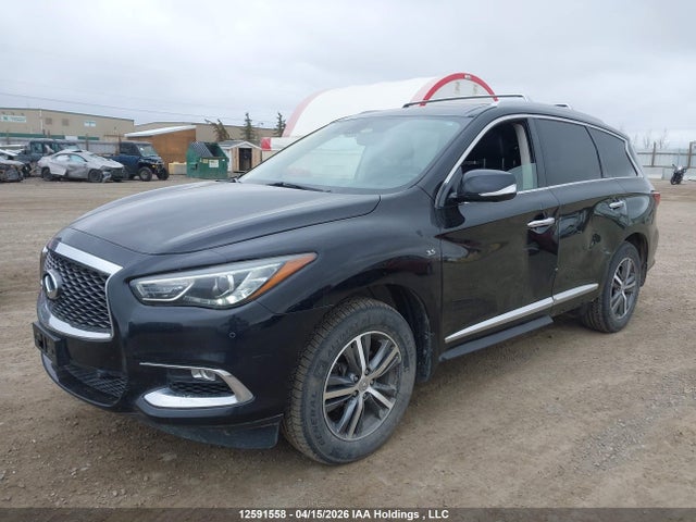 5N1DL0MM7HC551604 Infiniti QX60
