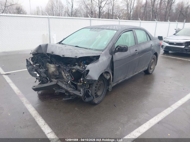 2010 Toyota Corolla Ce მანქანა იყიდება აუქციონზე, vin: 2T1BU4EE6AC192413, აუქციონის ნომერი: 12591559