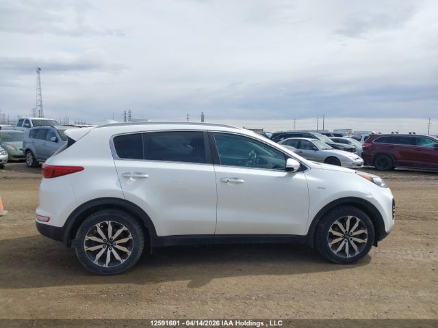 Продаж на аукціоні авто 2019 Kia Sportage Ex/ex Premium/ex Tech, vin: KNDPNCAC2K7505199, номер лоту: 12591601