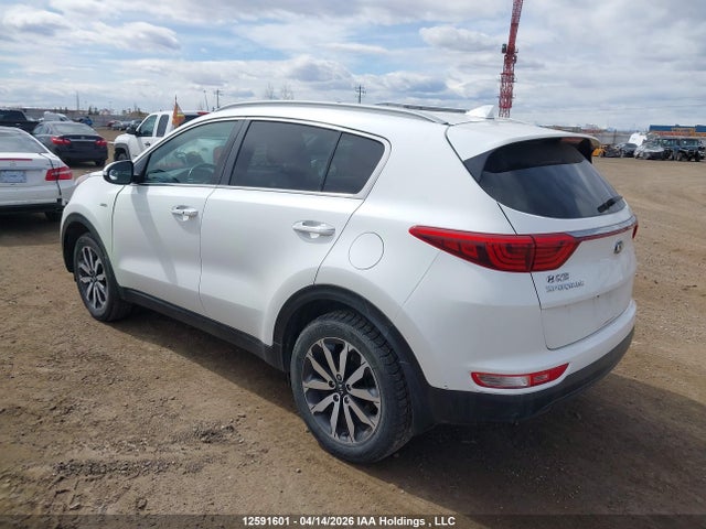 Продаж на аукціоні авто 2019 Kia Sportage Ex/ex Premium/ex Tech, vin: KNDPNCAC2K7505199, номер лоту: 12591601