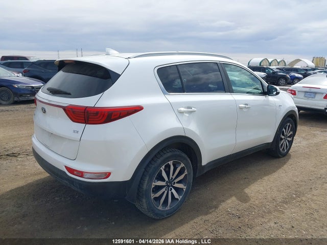 Продаж на аукціоні авто 2019 Kia Sportage Ex/ex Premium/ex Tech, vin: KNDPNCAC2K7505199, номер лоту: 12591601