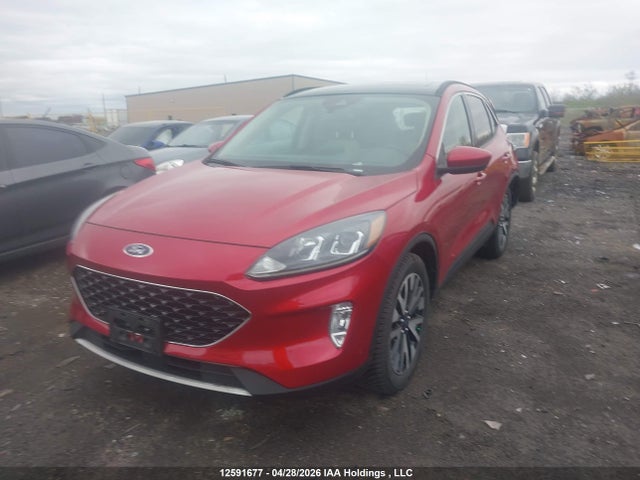 2020 Ford Escape Sel მანქანა იყიდება აუქციონზე, vin: 1FMCU9H99LUA01150, აუქციონის ნომერი: 12591677