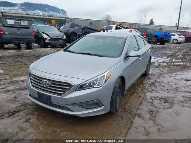 5NPE24AF1GH427534 Hyundai SONATA GLS