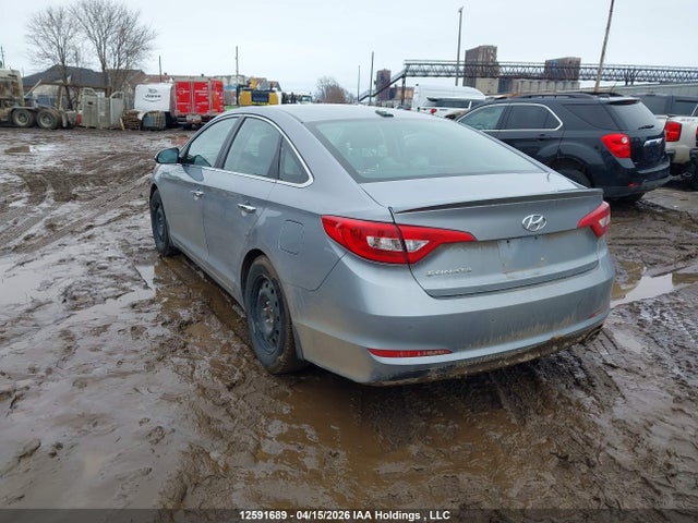5NPE24AF1GH427534 Hyundai SONATA GLS