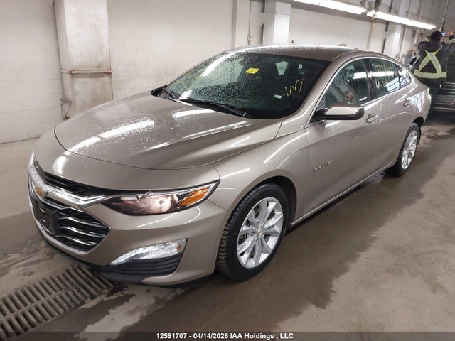 2024 Chevrolet Malibu Lt მანქანა იყიდება აუქციონზე, vin: 1G1ZD5ST7RF214809, აუქციონის ნომერი: 12591707
