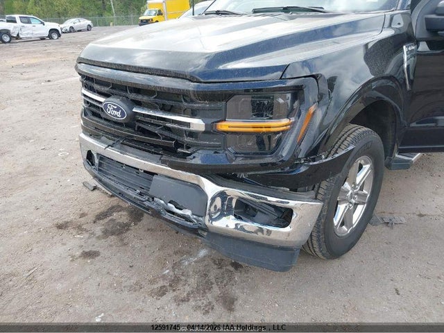 1FTFW3L5XRKD69189 Ford F-150 Xlt