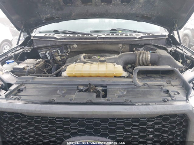 Продаж на аукціоні авто 2020 Ford F-150 Xl, vin: 1FTEW1EP9LFC44747, номер лоту: 12591747