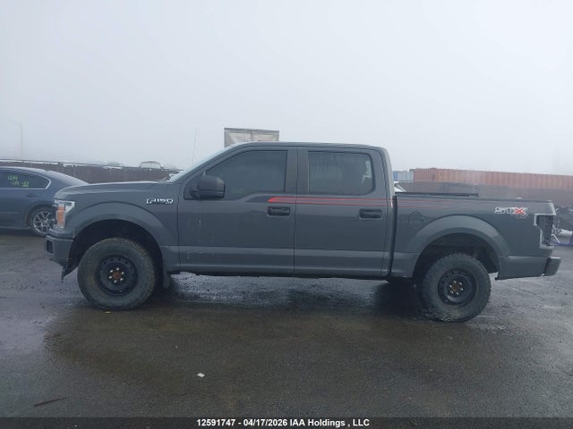 Продаж на аукціоні авто 2020 Ford F-150 Xl, vin: 1FTEW1EP9LFC44747, номер лоту: 12591747