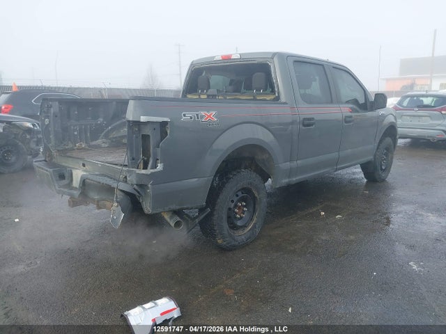 Продаж на аукціоні авто 2020 Ford F-150 Xl, vin: 1FTEW1EP9LFC44747, номер лоту: 12591747