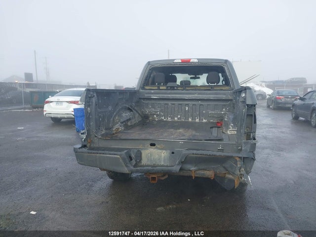 Продаж на аукціоні авто 2020 Ford F-150 Xl, vin: 1FTEW1EP9LFC44747, номер лоту: 12591747