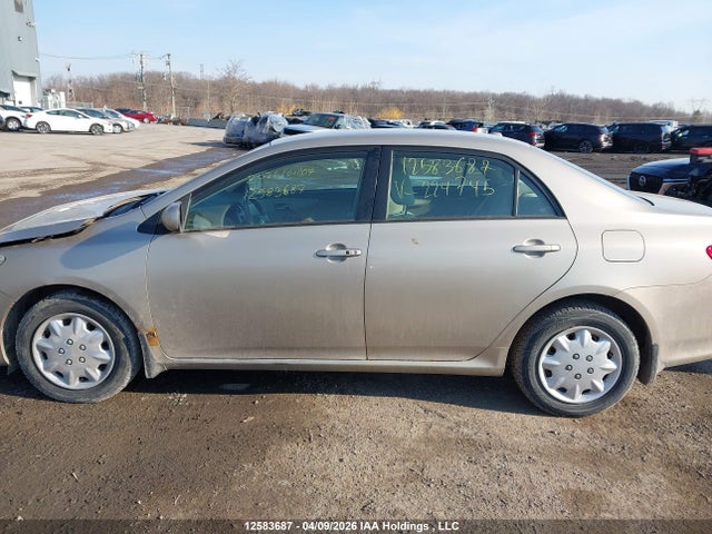 2010 Toyota Corolla Le მანქანა იყიდება აუქციონზე, vin: 2T1BU4EE6AC224745, აუქციონის ნომერი: 12583687