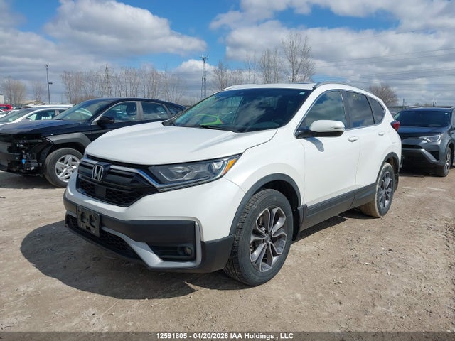 2HKRW2H89LH218196 Honda CR-V