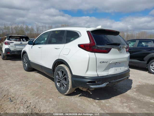 2HKRW2H89LH218196 Honda CR-V