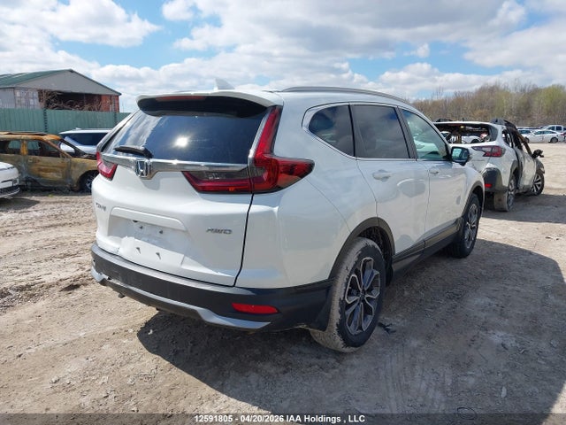 2HKRW2H89LH218196 Honda CR-V