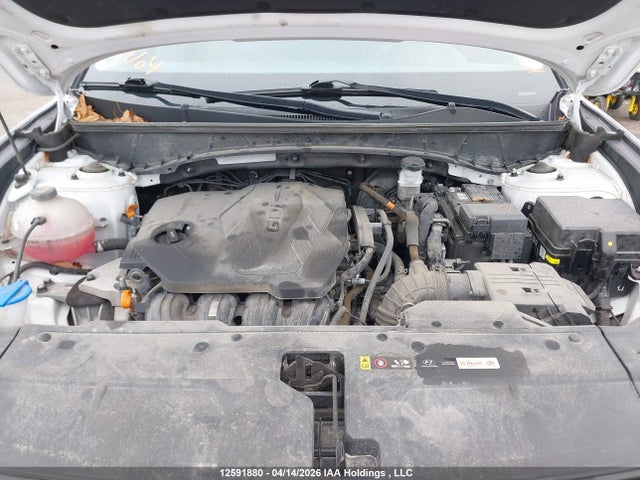 2024 Hyundai Tucson Sel მანქანა იყიდება აუქციონზე, vin: KM8JBCDEXRU334527, აუქციონის ნომერი: 12591880