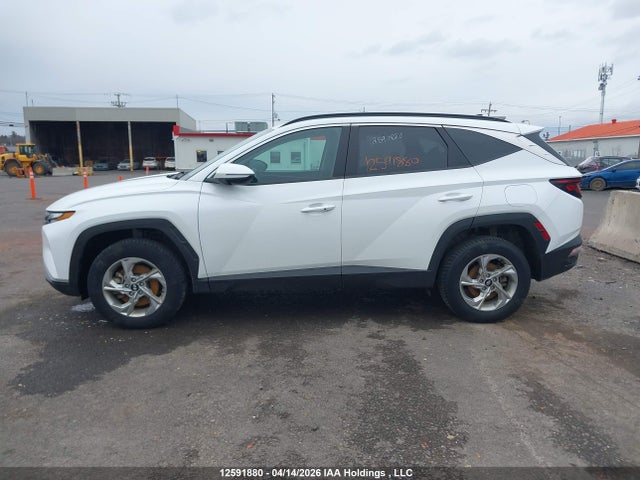2024 Hyundai Tucson Sel მანქანა იყიდება აუქციონზე, vin: KM8JBCDEXRU334527, აუქციონის ნომერი: 12591880